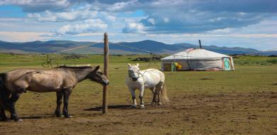 7 digital nomad-friendly destinations that nobody’s talking about yet. 