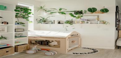 Answer Engine Optimization (AEO): Tips & Best Practices